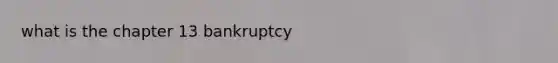 what is the chapter 13 bankruptcy