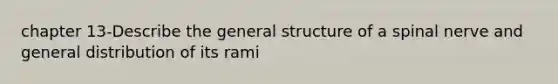 chapter 13-Describe the general structure of a spinal nerve and general distribution of its rami