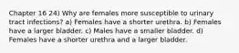 Chapter 16 24) Why are females more susceptible to urinary tract infections? a) Females have a shorter urethra. b) Females have a larger bladder. c) Males have a smaller bladder. d) Females have a shorter urethra and a larger bladder.