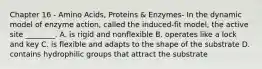 Chapter 16 - Amino Acids, Proteins & Enzymes- In the dynamic model of enzyme action, called the induced-fit model, the active site ________. A. is rigid and nonflexible B. operates like a lock and key C. is flexible and adapts to the shape of the substrate D. contains hydrophilic groups that attract the substrate