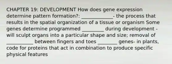 CHAPTER 19: DEVELOPMENT How does gene expression determine pattern formation?: _____________- the process that results in the spatial organization of a tissue or organism Some genes determine programmed _________ during development -will sculpt organs into a particular shape and size; removal of ___________ between fingers and toes ________ genes- in plants, code for proteins that act in combination to produce specific physical features