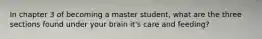 In chapter 3 of becoming a master student, what are the three sections found under your brain it's care and feeding?