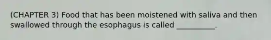 (CHAPTER 3) Food that has been moistened with saliva and then swallowed through the esophagus is called __________.