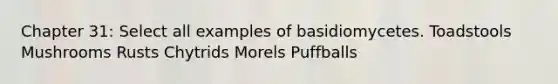 Chapter 31: Select all examples of basidiomycetes. Toadstools Mushrooms Rusts Chytrids Morels Puffballs