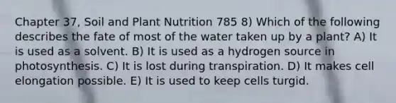 Chapter 37, Soil and Plant Nutrition 785 8) Which of the following describes the fate of most of the water taken up by a plant? A) It is used as a solvent. B) It is used as a hydrogen source in photosynthesis. C) It is lost during transpiration. D) It makes cell elongation possible. E) It is used to keep cells turgid.