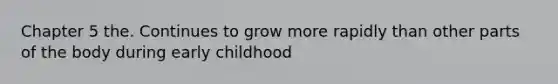 Chapter 5 the. Continues to grow more rapidly than other parts of the body during early childhood