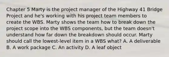 Chapter 5 Marty is the project manager of the Highway 41 Bridge Project and he's working with his project team members to create the WBS. Marty shows the team how to break down the project scope into the WBS components, but the team doesn't understand how far down the breakdown should occur. Marty should call the lowest-level item in a WBS what? A. A deliverable B. A work package C. An activity D. A leaf object