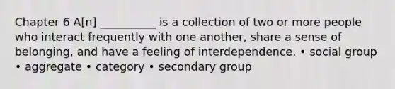 Chapter 6 A[n] __________ is a collection of two or more people who interact frequently with one another, share a sense of belonging, and have a feeling of interdependence. • social group • aggregate • category • secondary group