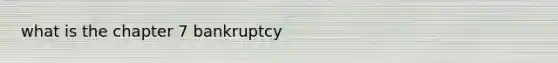 what is the chapter 7 bankruptcy