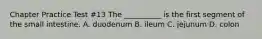 Chapter Practice Test #13 The __________ is the first segment of the small intestine. A. duodenum B. ileum C. jejunum D. colon