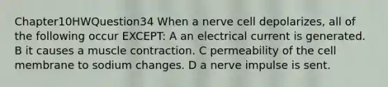 Chapter10HWQuestion34 When a nerve cell depolarizes, all of the following occur EXCEPT: A an electrical current is generated. B it causes a muscle contraction. C permeability of the cell membrane to sodium changes. D a nerve impulse is sent.