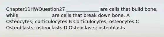 Chapter11HWQuestion27 ______________ are cells that build bone, while______________ are cells that break down bone. A Osteocytes; corticulocytes B Corticulocytes; osteocytes C Osteoblasts; osteoclasts D Osteoclasts; osteoblasts