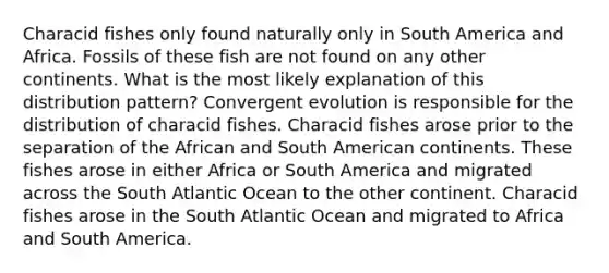 Characid fishes only found naturally only in South America and Africa. Fossils of these fish are not found on any other continents. What is the most likely explanation of this distribution pattern? Convergent evolution is responsible for the distribution of characid fishes. Characid fishes arose prior to the separation of the African and South American continents. These fishes arose in either Africa or South America and migrated across the South Atlantic Ocean to the other continent. Characid fishes arose in the South Atlantic Ocean and migrated to Africa and South America.