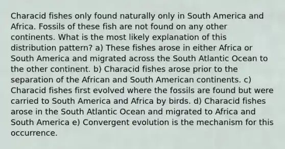 Characid fishes only found naturally only in South America and Africa. Fossils of these fish are not found on any other continents. What is the most likely explanation of this distribution pattern? a) These fishes arose in either Africa or South America and migrated across the South Atlantic Ocean to the other continent. b) Characid fishes arose prior to the separation of the African and South American continents. c) Characid fishes first evolved where the fossils are found but were carried to South America and Africa by birds. d) Characid fishes arose in the South Atlantic Ocean and migrated to Africa and South America e) Convergent evolution is the mechanism for this occurrence.