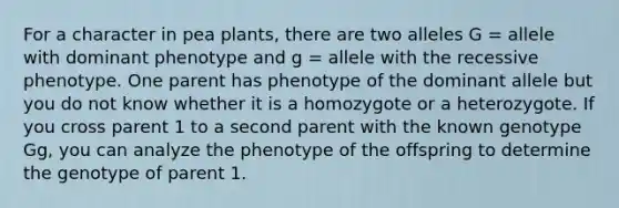 For a character in pea plants, there are two alleles G = allele with dominant phenotype and g = allele with the recessive phenotype. One parent has phenotype of the dominant allele but you do not know whether it is a homozygote or a heterozygote. If you cross parent 1 to a second parent with the known genotype Gg, you can analyze the phenotype of the offspring to determine the genotype of parent 1.