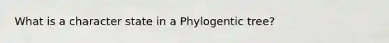 What is a character state in a Phylogentic tree?