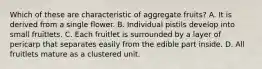 Which of these are characteristic of aggregate fruits? A. It is derived from a single flower. B. Individual pistils develop into small fruitlets. C. Each fruitlet is surrounded by a layer of pericarp that separates easily from the edible part inside. D. All fruitlets mature as a clustered unit.