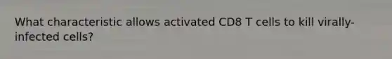 What characteristic allows activated CD8 T cells to kill virally-infected cells?