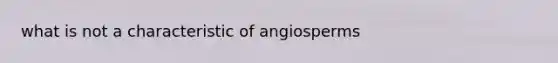 what is not a characteristic of angiosperms