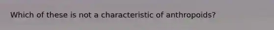 Which of these is not a characteristic of anthropoids?