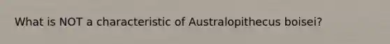 What is NOT a characteristic of Australopithecus boisei?