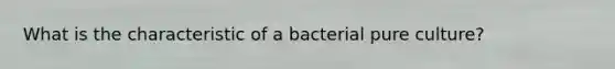 What is the characteristic of a bacterial pure culture?