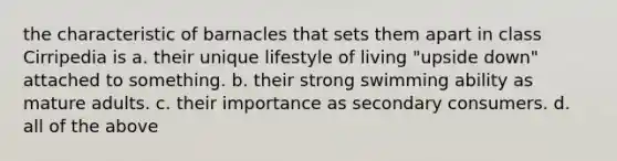 the characteristic of barnacles that sets them apart in class Cirripedia is a. their unique lifestyle of living "upside down" attached to something. b. their strong swimming ability as mature adults. c. their importance as secondary consumers. d. all of the above