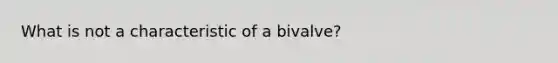 What is not a characteristic of a bivalve?