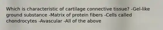 Which is characteristic of cartilage connective tissue? -Gel-like ground substance -Matrix of protein fibers -Cells called chondrocytes -Avascular -All of the above