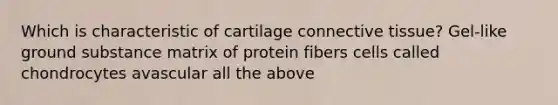 Which is characteristic of cartilage connective tissue? Gel-like ground substance matrix of protein fibers cells called chondrocytes avascular all the above