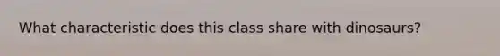 What characteristic does this class share with dinosaurs?