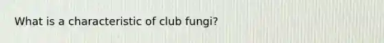 What is a characteristic of club fungi?