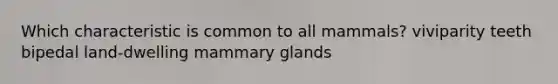 Which characteristic is common to all mammals? viviparity teeth bipedal land-dwelling mammary glands