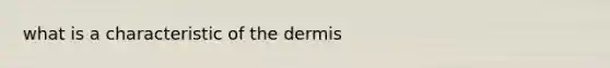 what is a characteristic of <a href='https://www.questionai.com/knowledge/kEsXbG6AwS-the-dermis' class='anchor-knowledge'>the dermis</a>