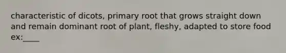 characteristic of dicots, primary root that grows straight down and remain dominant root of plant, fleshy, adapted to store food ex:____