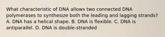 What characteristic of DNA allows two connected DNA polymerases to synthesize both the leading and lagging strands? A. DNA has a helical shape. B. DNA is flexible. C. DNA is antiparallel. D. DNA is double-stranded