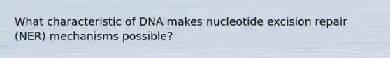 What characteristic of DNA makes nucleotide excision repair (NER) mechanisms possible?