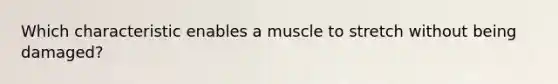 Which characteristic enables a muscle to stretch without being damaged?