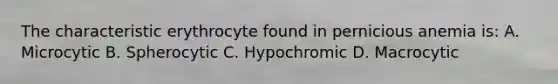 The characteristic erythrocyte found in pernicious anemia is: A. Microcytic B. Spherocytic C. Hypochromic D. Macrocytic