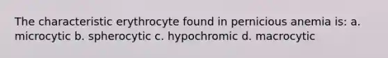 The characteristic erythrocyte found in pernicious anemia is: a. microcytic b. spherocytic c. hypochromic d. macrocytic