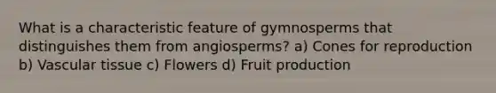 What is a characteristic feature of gymnosperms that distinguishes them from angiosperms? a) Cones for reproduction b) <a href='https://www.questionai.com/knowledge/k1HVFq17mo-vascular-tissue' class='anchor-knowledge'>vascular tissue</a> c) Flowers d) Fruit production