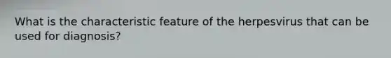 What is the characteristic feature of the herpesvirus that can be used for diagnosis?