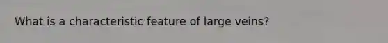 What is a characteristic feature of large veins?