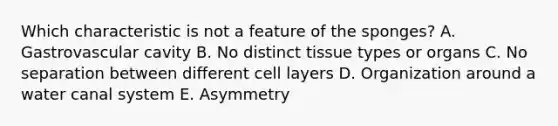 Which characteristic is not a feature of the sponges? A. Gastrovascular cavity B. No distinct tissue types or organs C. No separation between different cell layers D. Organization around a water canal system E. Asymmetry