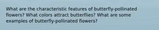 What are the characteristic features of butterfly-pollinated flowers? What colors attract butterflies? What are some examples of butterfly-pollinated flowers?