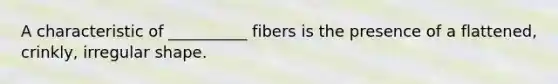 A characteristic of __________ fibers is the presence of a flattened, crinkly, irregular shape.