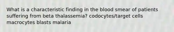 What is a characteristic finding in the blood smear of patients suffering from beta thalassemia? codocytes/target cells macrocytes blasts malaria