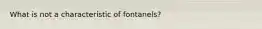 What is not a characteristic of fontanels?