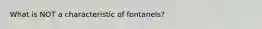 What is NOT a characteristic of fontanels?