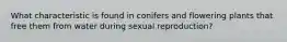 What characteristic is found in conifers and flowering plants that free them from water during sexual reproduction?